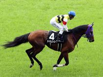 ����å��ǳ��������ɽ�����ޤ�