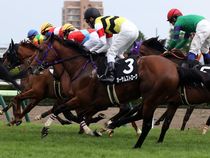 ����å��ǳ��������ɽ�����ޤ�