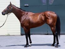 ����å��ǳ��������ɽ�����ޤ�