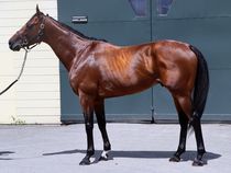 ����å��ǳ��������ɽ�����ޤ�