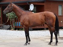 ����å��ǳ��������ɽ�����ޤ�