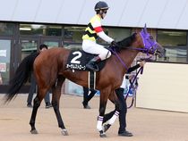 ����å��ǳ��������ɽ�����ޤ�