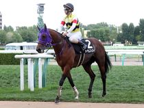 ����å��ǳ��������ɽ�����ޤ�