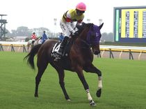 ����å��ǳ��������ɽ�����ޤ�