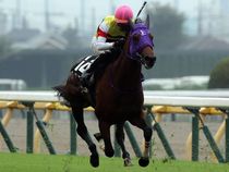 ����å��ǳ��������ɽ�����ޤ�