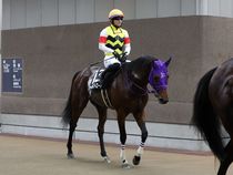 ����å��ǳ��������ɽ�����ޤ�