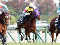 ����å��ǳ��������ɽ�����ޤ�