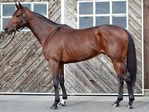 ����å��ǳ��������ɽ�����ޤ�