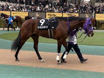 ����å��ǳ��������ɽ�����ޤ�