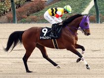 ����å��ǳ��������ɽ�����ޤ�