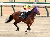 ����å��ǳ��������ɽ�����ޤ�