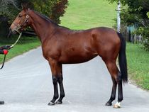 ����å��ǳ��������ɽ�����ޤ�