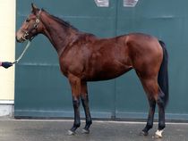 ����å��ǳ��������ɽ�����ޤ�