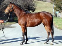 ����å��ǳ��������ɽ�����ޤ�