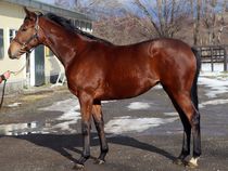 ����å��ǳ��������ɽ�����ޤ�