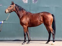 ����å��ǳ��������ɽ�����ޤ�