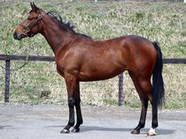 ����å��ǳ��������ɽ�����ޤ�