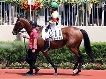 ����å��ǳ��������ɽ�����ޤ�