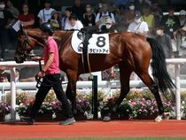 ����å��ǳ��������ɽ�����ޤ�