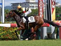 ����å��ǳ��������ɽ�����ޤ�