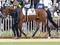 ����å��ǳ��������ɽ�����ޤ�