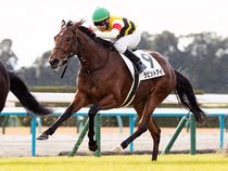 ����å��ǳ��������ɽ�����ޤ�