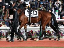 ����å��ǳ��������ɽ�����ޤ�