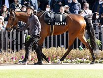 ����å��ǳ��������ɽ�����ޤ�