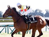 ����å��ǳ��������ɽ�����ޤ�