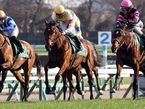 ����å��ǳ��������ɽ�����ޤ�