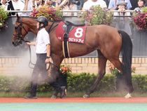 ����å��ǳ��������ɽ�����ޤ�