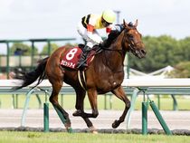 ����å��ǳ��������ɽ�����ޤ�