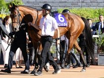 ����å��ǳ��������ɽ�����ޤ�