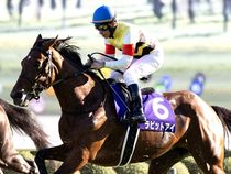 ����å��ǳ��������ɽ�����ޤ�