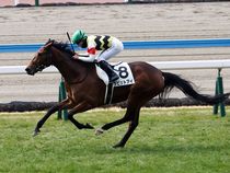 ����å��ǳ��������ɽ�����ޤ�