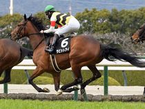 ����å��ǳ��������ɽ�����ޤ�