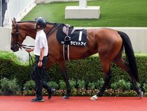 ����å��ǳ��������ɽ�����ޤ�