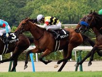 ����å��ǳ��������ɽ�����ޤ�