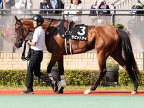 ����å��ǳ��������ɽ�����ޤ�