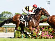 ����å��ǳ��������ɽ�����ޤ�