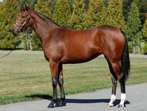 ����å��ǳ��������ɽ�����ޤ�