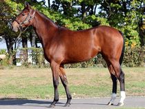 ����å��ǳ��������ɽ�����ޤ�