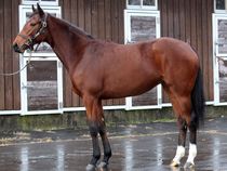 ����å��ǳ��������ɽ�����ޤ�