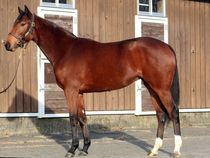 ����å��ǳ��������ɽ�����ޤ�