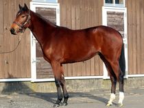 ����å��ǳ��������ɽ�����ޤ�