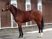 ����å��ǳ��������ɽ�����ޤ�