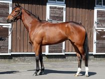 ����å��ǳ��������ɽ�����ޤ�