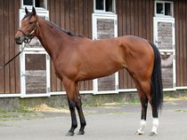 ����å��ǳ��������ɽ�����ޤ�