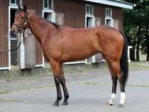 ����å��ǳ��������ɽ�����ޤ�