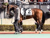 ����å��ǳ��������ɽ�����ޤ�